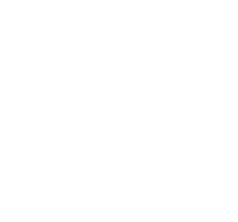 The Healed Mom